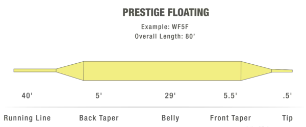 Linea Flotante White RIver Prestige WF - Image 3